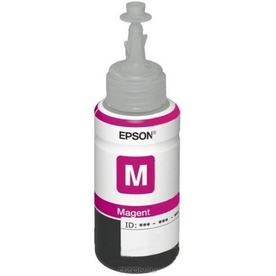 Bouteille d'encre Epson T6731 Black