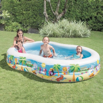 INTEX 56490NP