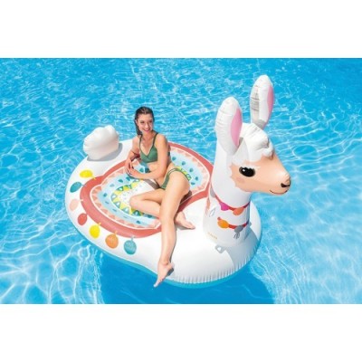 INTEX 59065NP