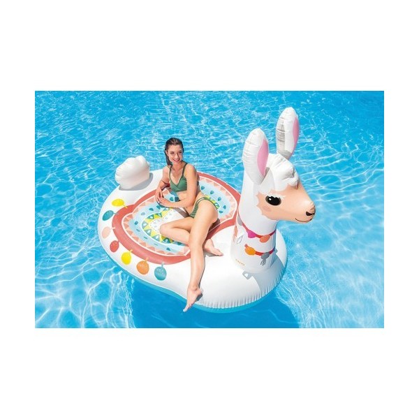 Intex 57291np
