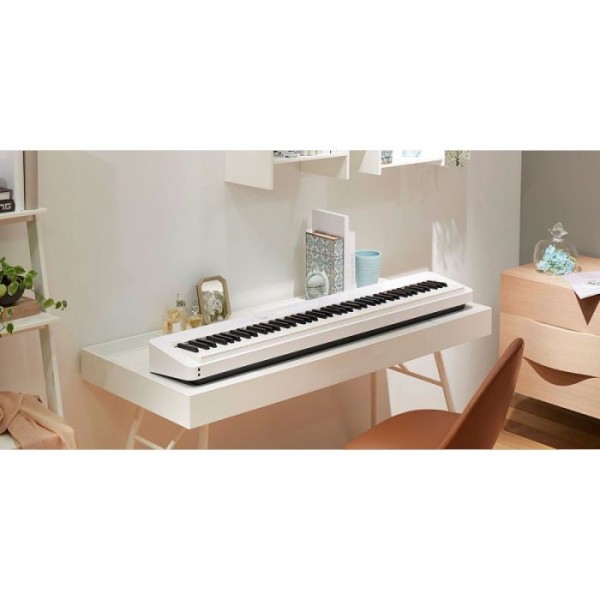 CASIO PX-S1000WEC2