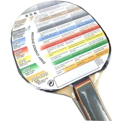 Raquette Ping Pong DONIC LEVEL-100