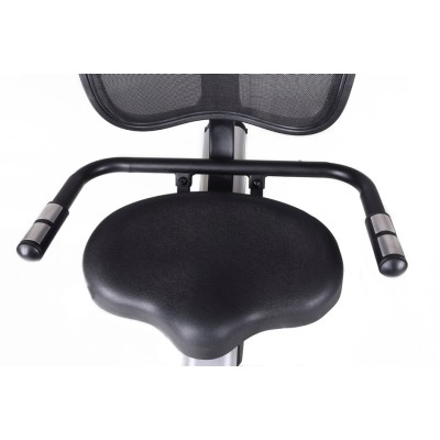 Toorx BRX300 ERGO