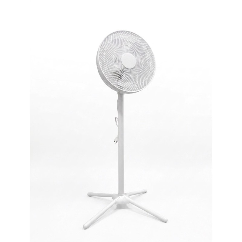 Coala V/C LUXE