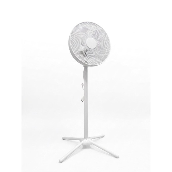 Coala V/C LUXE